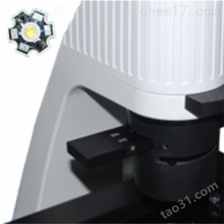 B50i倒置生物显微镜