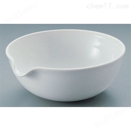 6-558-01陶瓷制蒸发皿 D-30 （圆皿）（1个）