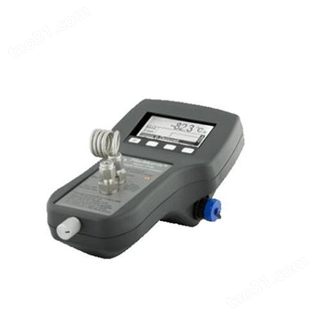 美国PHYMETRIX露点仪水分分析仪DPT600