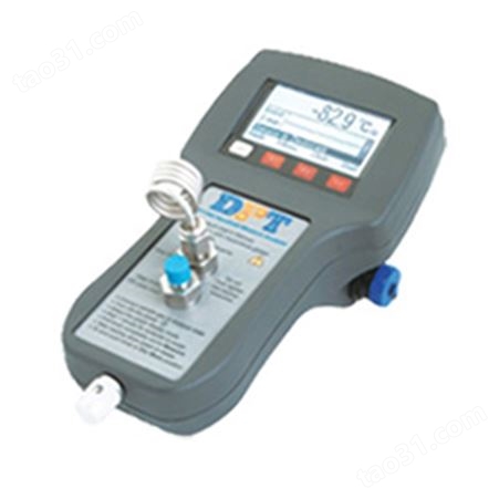 美国PHYMETRIX露点仪水分分析仪DPT600