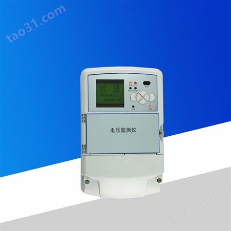 山东电压监测仪DT3-100V-G