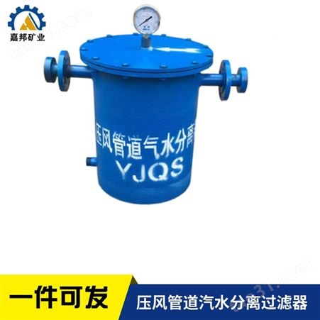 YJQS-C气水分离器 DN100汽水分离器 气水分离过滤器