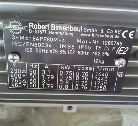Robert Birkenbeul三相标准电机