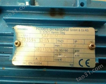 Robert Birkenbeul三相标准电机5AP90S-2