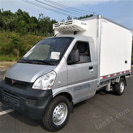 柳州五菱冷藏车 3米冷藏车 小型厢式冷冻车 蔬果保鲜运输车