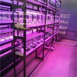 DX2583智能植物工厂定制厂家 植物工厂成本 自动化仪表定制 中农智造