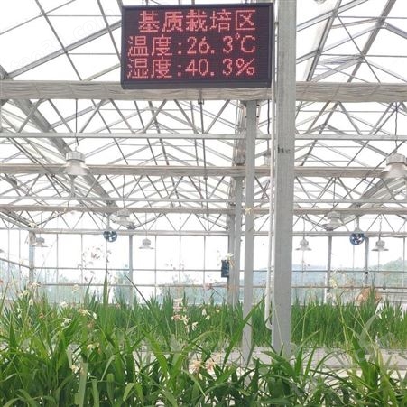 黑龙江哈尔滨DX3280物联网智能玻璃温室 农业自动化灌溉温室大棚价格 温室风机湿帘改造定制 中农智造