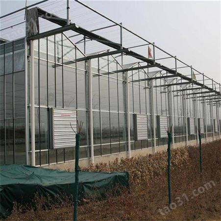 陕西咸阳玻璃温室 玻璃大棚温室 温室植物工厂建设厂家 中农智造DX3526