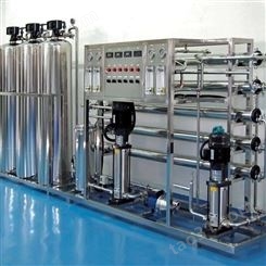 反渗透纯水设备 混床离子交换设备 EDI超纯水机 环保水处理设备