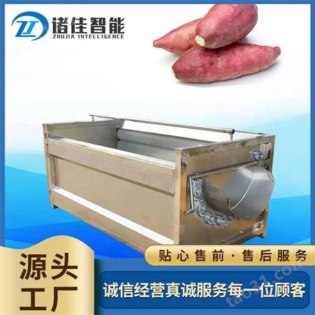 定制秋葵清洗机 牡蛎清洗设备 多功能中药材清洗机