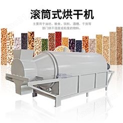 连续式大枣烘干机 大豆脱水干燥设备 干果炒货脱水设备