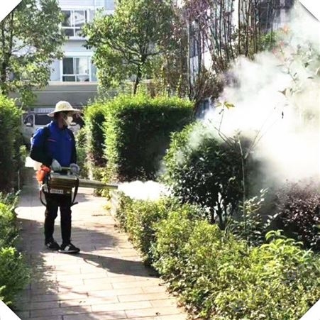 脉冲弥雾机 2021小区消毒用打药机 果园种植烟雾机