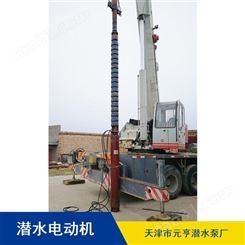 批量供应天津市立式抽水用1222/4系列潜水电机