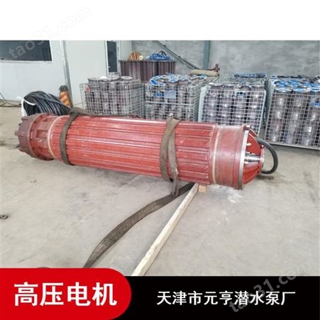 天津矿用大排量铸铁3000V高压潜水电机