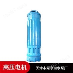 天津生活用高防护不锈钢1140V高压潜水电机