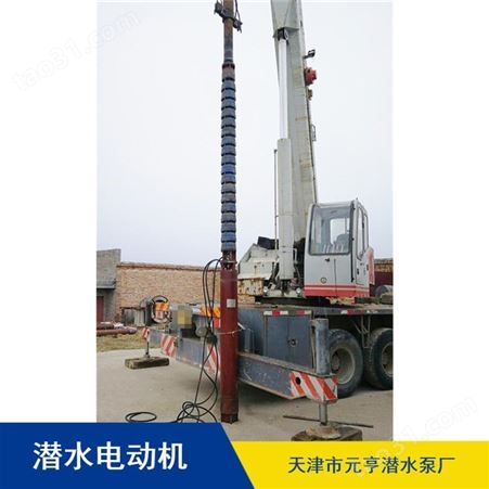 批量供应天津市卧式灌溉用1234/4系列潜水电机