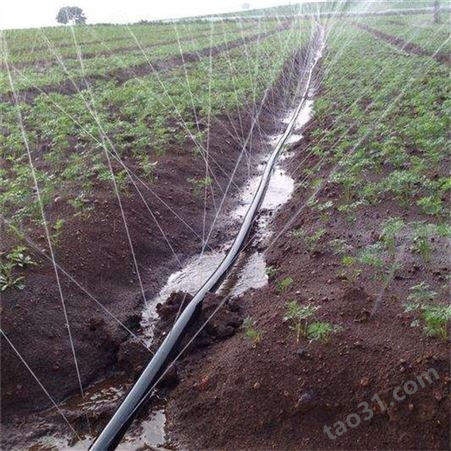 山东农业喷灌带批发 园林灌溉用微喷带 喷灌带 国泰浩德供应微喷带