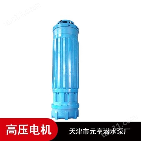 天津提水用高防护卧式1140V高压潜水电机