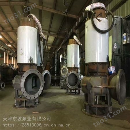 污水泵-污水处理及排放潜水泵-天津东坡泵业