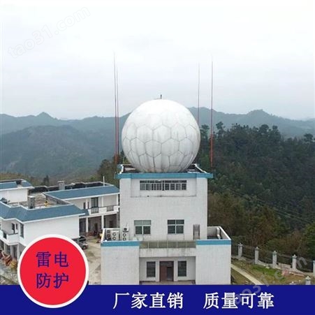 云南天气雷达站避雷针安装 电视台微波站避雷针厂家伟信按需定制
