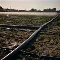 农田灌溉用喷灌带 微喷带石家庄价格便宜
