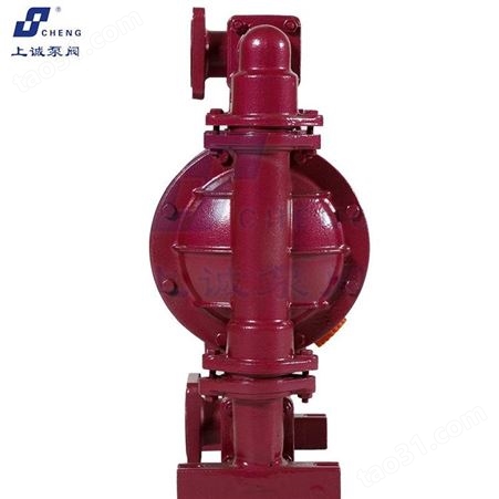隔膜泵 调速电动隔膜泵 上诚泵阀隔膜泵生产厂家