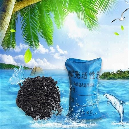 食品级活性炭 工业水处理专用果壳活性炭-净水滤料高碘值脱氯去味椰壳活性炭