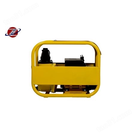 柴油12v24v220v伏加油机车载小型加油泵油器设备