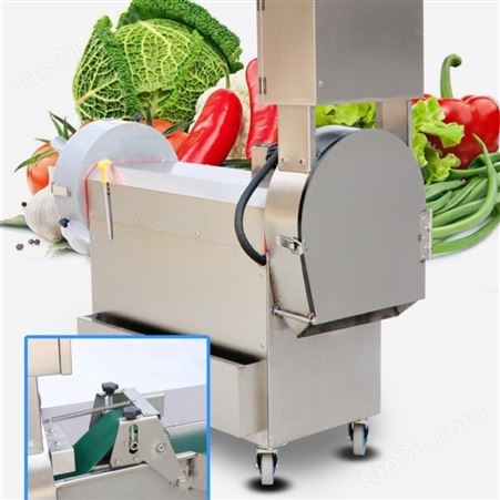 腾拓 商用大型蔬菜薯类切片机 小型切片机切菜机