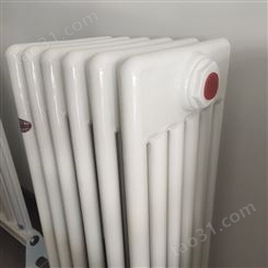 钢六柱散热器 钢六柱暖气片 钢制暖气片厂家 暖之春 GZ605 生产厂家