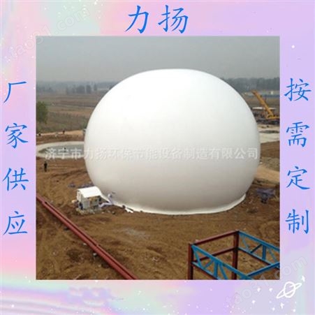 双膜储气柜系统 沼气储存设备 用途及使用范围 球体外观
