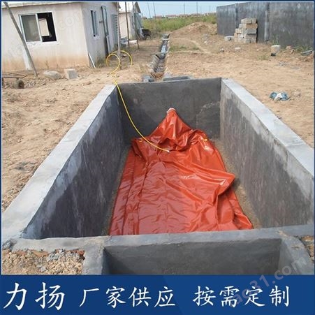 20立方沼气袋 红泥沼气池制作图纸 养殖场用设备 耐腐蚀