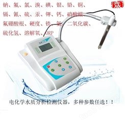 杭州齐威仪器微机型钾离子计钾离子浓度计PXS-CA