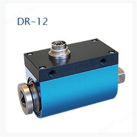 DR-2112-R, DR-2112-R-P，DR-2412-R, DR-2412-R-P扭矩传感器