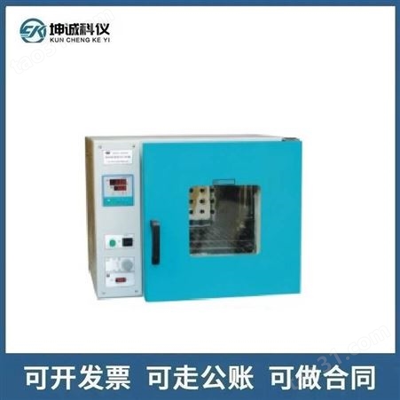 DZF-6021电热恒温鼓风干燥箱实验室试验高温烤箱生产厂家试验设备