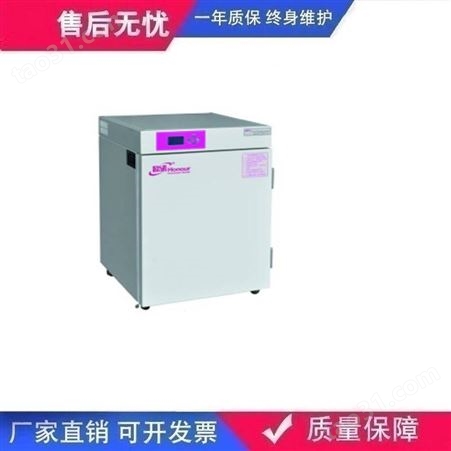 隔水式电热恒温培养箱HNGPN-163微生物培养箱恒温箱定制