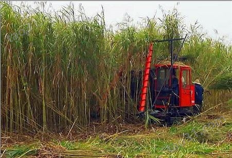 农业芦苇收割机 自走式黄麻收割机 收割黄麻芦苇机器 TY