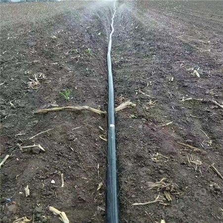 农田果园节水灌溉设备微喷带 耐腐蚀寿命长 微喷带 多规格PE微喷带