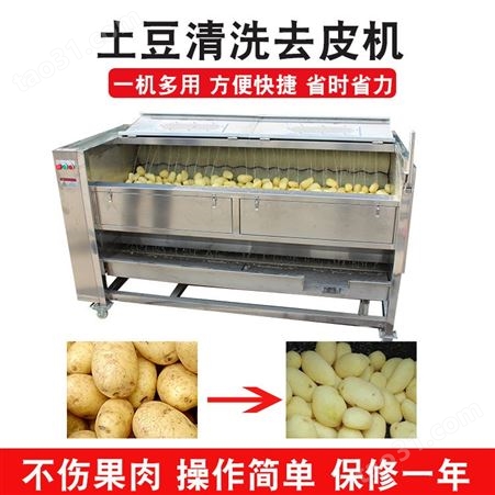 利杰土豆毛刷去皮机 莲藕大姜毛辊清洗机 自动出料红薯去皮机