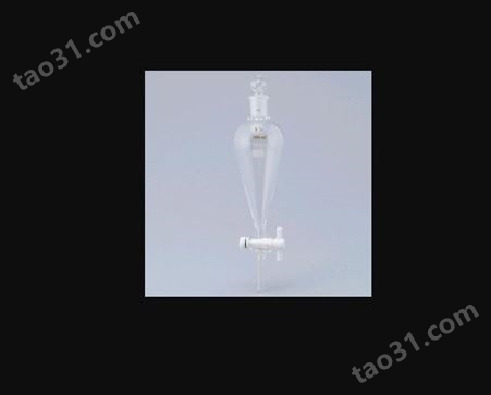 日本sekiya关谷理化300ML带刻度三角烧瓶/烧杯4980SFK300（A12-800-170）