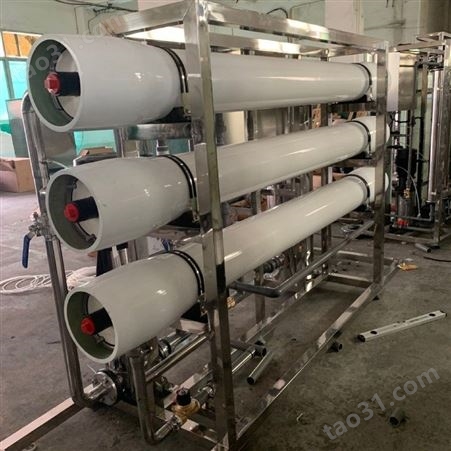 果汁设备 纯水设备 二级反渗透水处理设备 水处理工程0.5吨反渗透