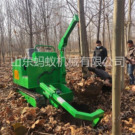 出售园林座驾式挖树机 园林带土球挖树机 步履式挖树机