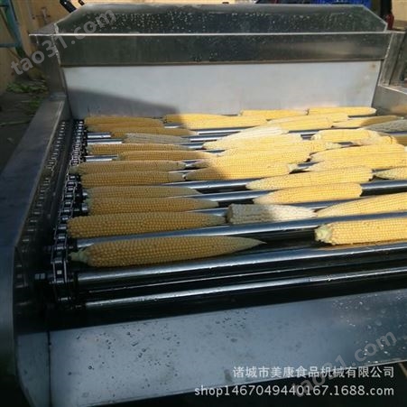 不锈钢玉米去虫清洗机 滚杠式玉米清洗机 玉米加工流水线