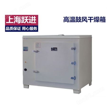 HGZ-GW-640高温箱 上海跃进干燥箱 高温干燥箱