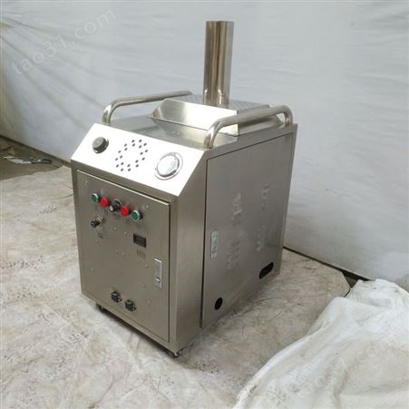 冷水蒸气两用洗车机 高压商用清洁机 大功率全自动蒸气洗车机