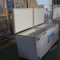 商用大型卧式冰柜 大号容量卧式冰柜 广州单温卧式冰柜