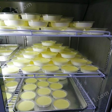益众供应大型酸奶机酸奶发酵罐 牛奶生产线加工设备 鲜奶吧设备