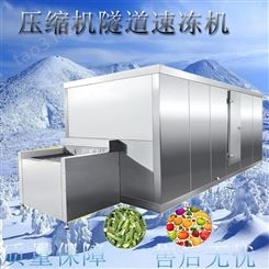 食品工厂肉类烧烤串隧道式速冻 压缩机速冻宏科食品设备厂家