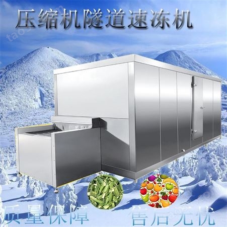 食品工厂肉类烧烤串隧道式速冻 压缩机速冻宏科食品设备厂家