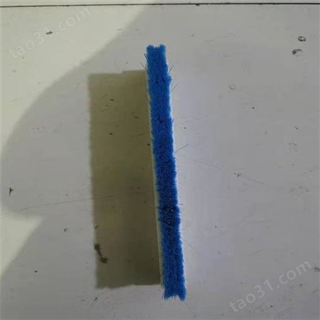 泰阳橡塑生产加工尼龙毛刷 毛刷条 耐磨PP毛刷支持定制